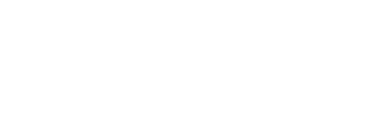 Nemesis Holdings